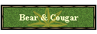 Bear & Cougar