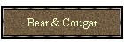 Bear & Cougar